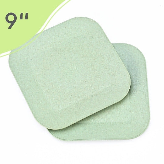 Dining Plate – 9 inch (Celeste)