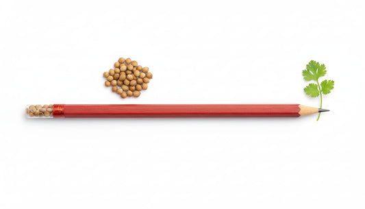 Pencil