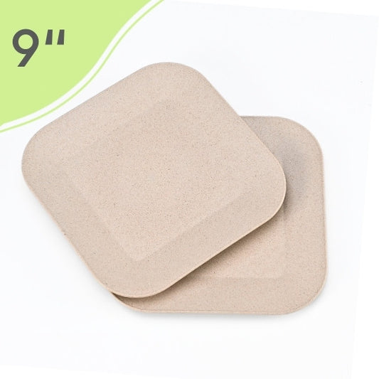 Dining Plate – 9 inch (Sand Castle)